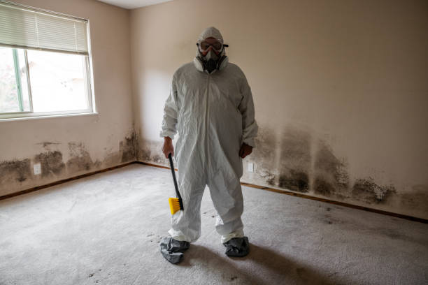 Best Mold Testing and Inspection Services in Mountain City, GA